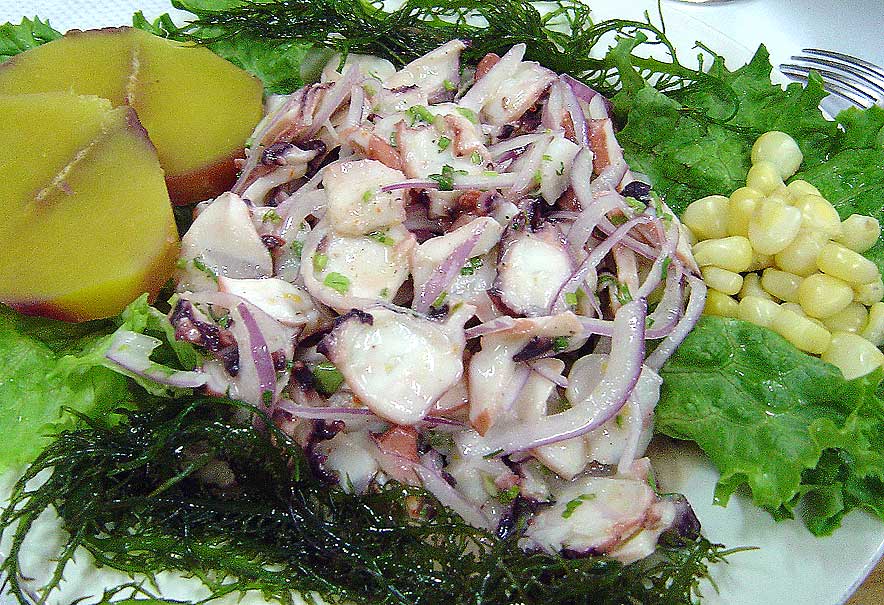 Octopus Ceviche (illustrative stock photo)