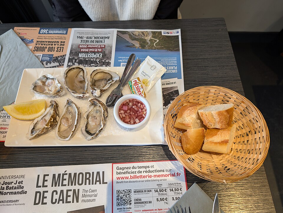 Oysters (illustrative stock photo)